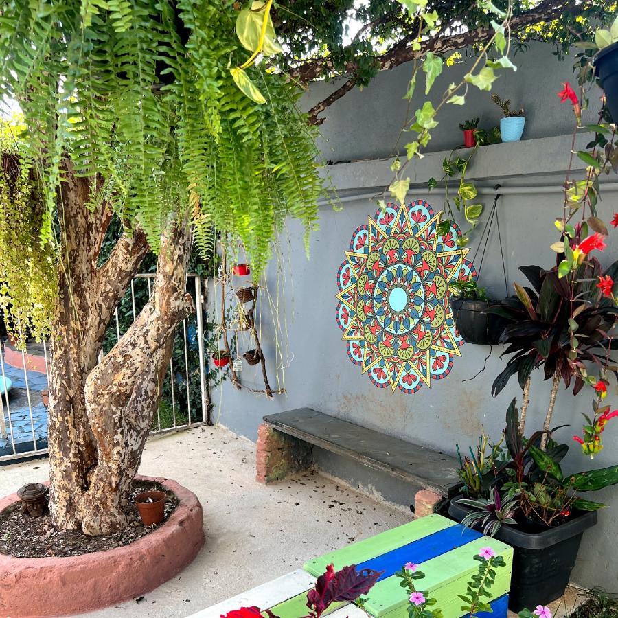 Casa Jardim Hostel Bh - Santa Efigenia - Paraiso بيلو هورزونتي المظهر الخارجي الصورة